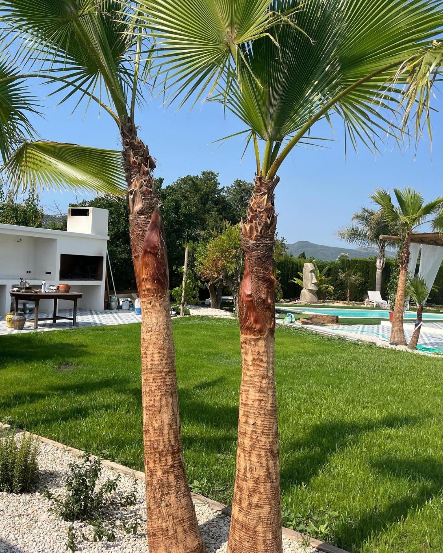Casanoa Luxury Villa Bed And Breakfast Javea Luaran gambar